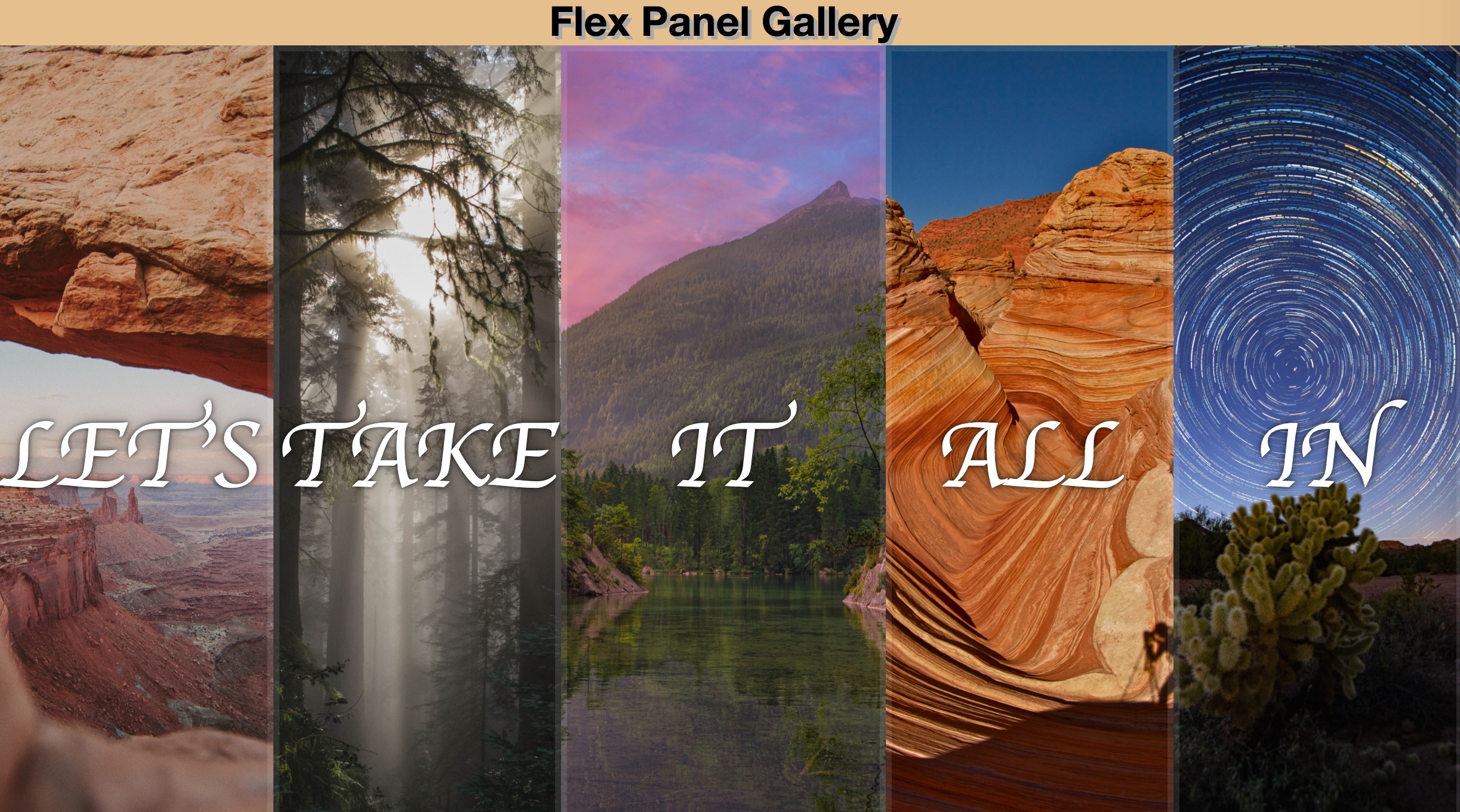 Flex Gallery
